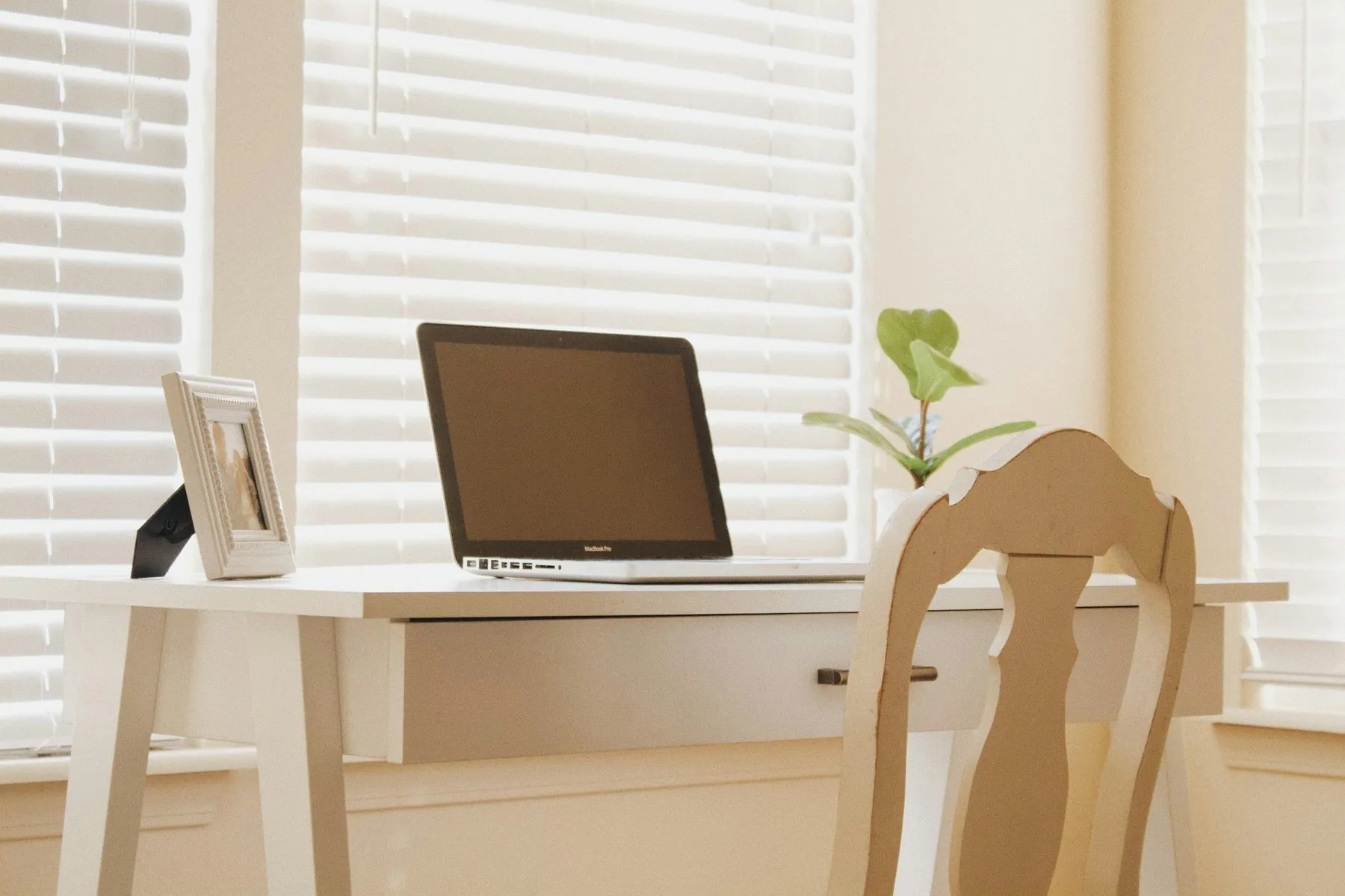 office space with laptop and plant