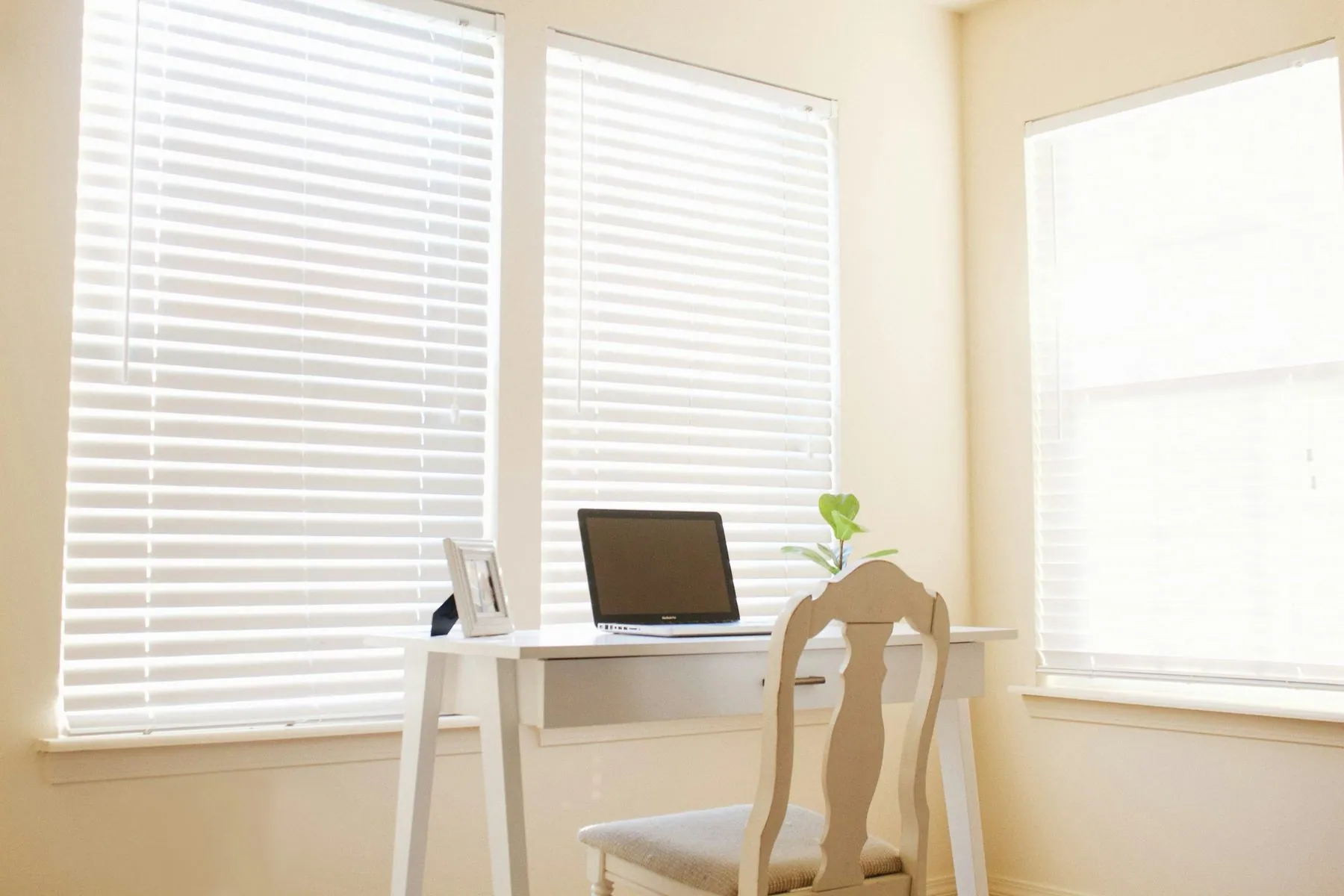 office space with laptop and plant