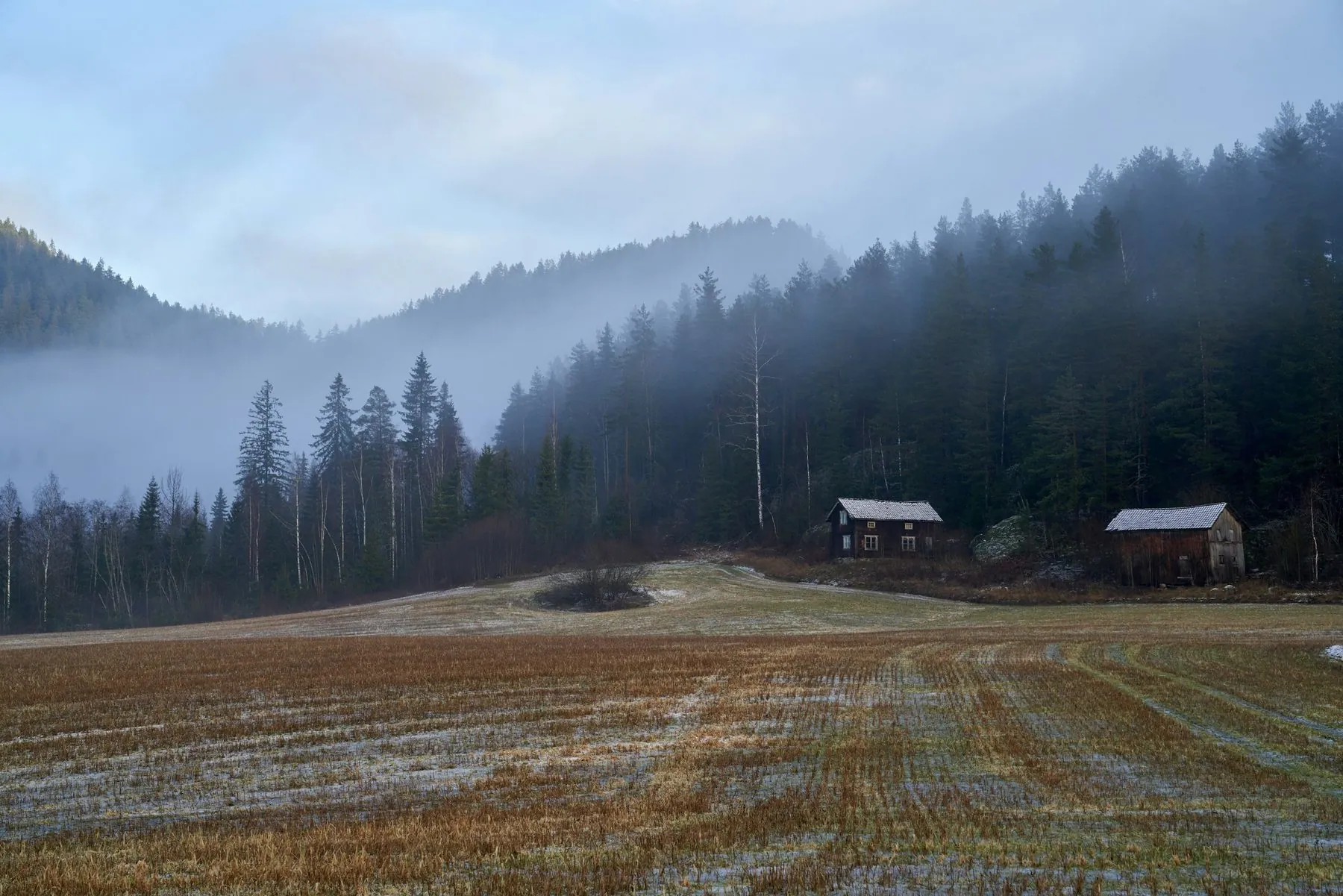Stubble-field, old traditional log cabin and barn, pine forest in fog in December in Trillemarka in Norway
