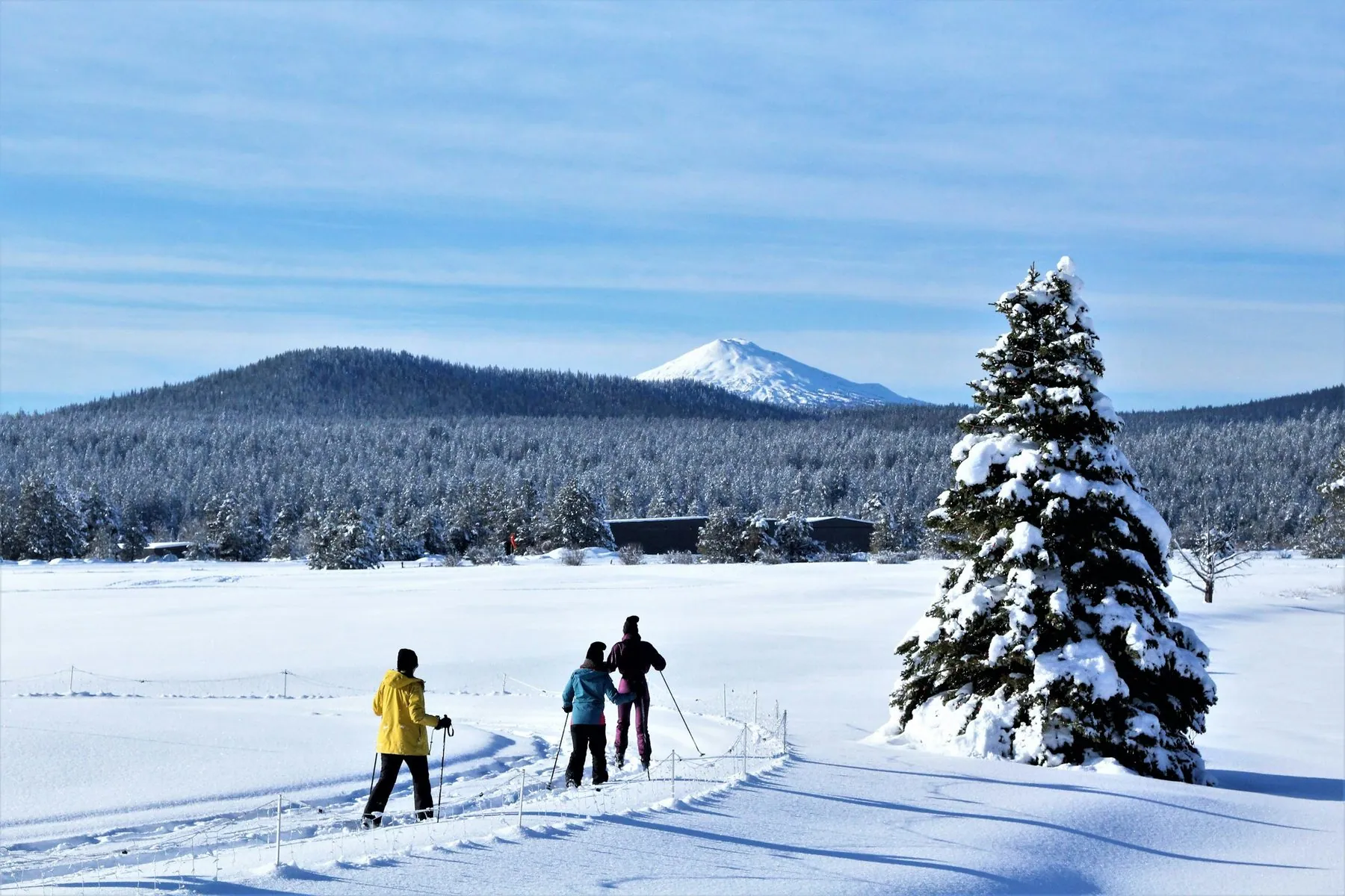 a group of people riding skis across snow covered ground